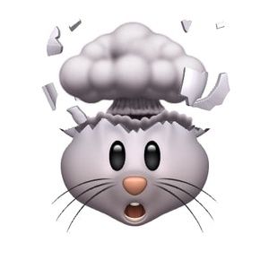 Meet your Posher, Pamela